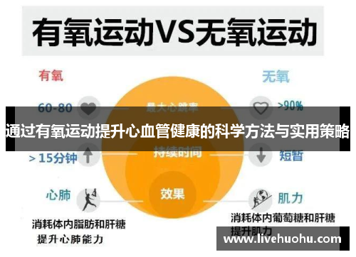 通过有氧运动提升心血管健康的科学方法与实用策略